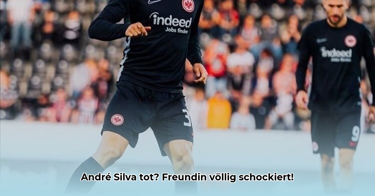 andre-silva-freundin
